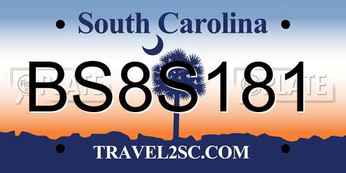 BS8S181 South Carolina License Plate