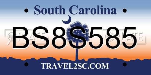BS8S585 South Carolina License Plate