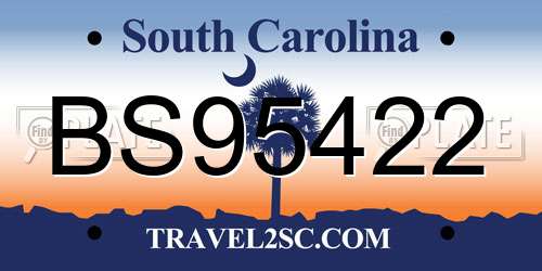 BS95422 South Carolina License Plate