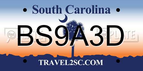 BS9A3D South Carolina License Plate
