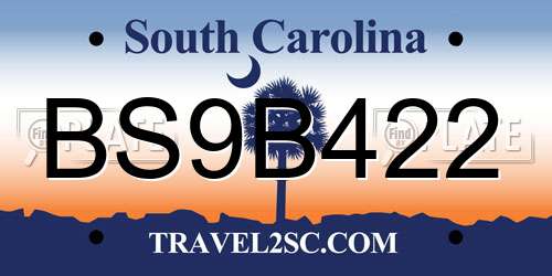 BS9B422 South Carolina License Plate
