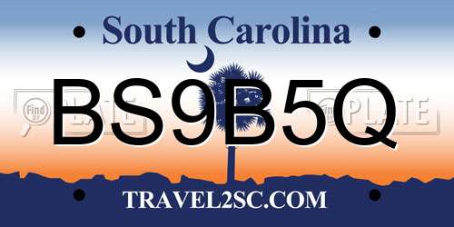 BS9B5Q South Carolina License Plate