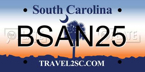 BSAN25 South Carolina License Plate