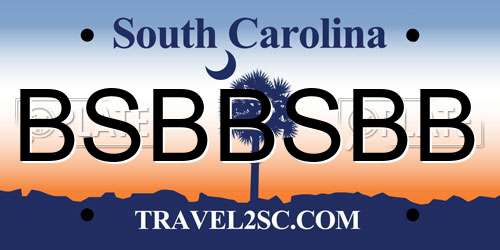 BSBBSBB South Carolina License Plate