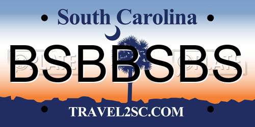 BSBBSBS South Carolina License Plate