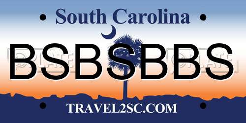 BSBSBBS South Carolina License Plate