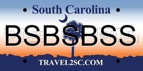 BSBSBSS South Carolina License Plate
