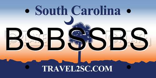BSBSSBS South Carolina License Plate