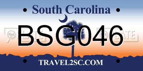 BSG046 South Carolina License Plate