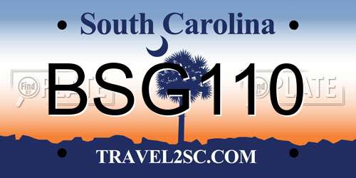 BSG110 South Carolina License Plate