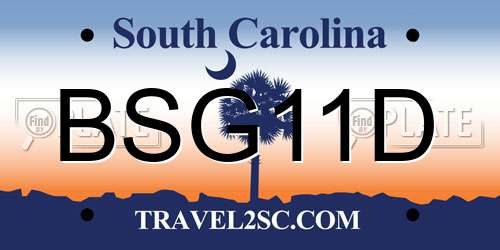 BSG11D South Carolina License Plate