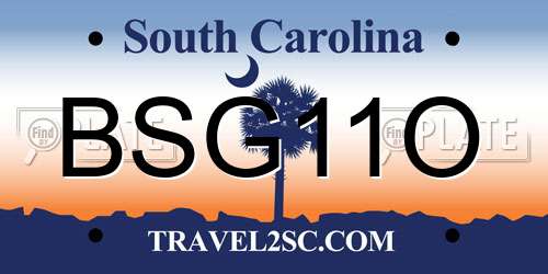 BSG11O South Carolina License Plate