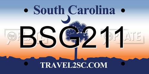 BSG211 South Carolina License Plate