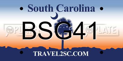 BSG41 South Carolina License Plate