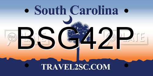 BSG42P South Carolina License Plate