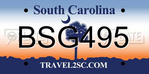BSG495 South Carolina License Plate