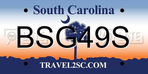 BSG49S South Carolina License Plate