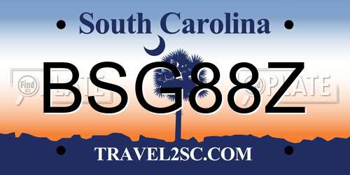 BSG88Z South Carolina License Plate