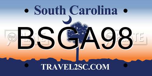 BSGA98 South Carolina License Plate