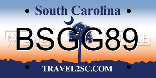 BSGG89 South Carolina License Plate