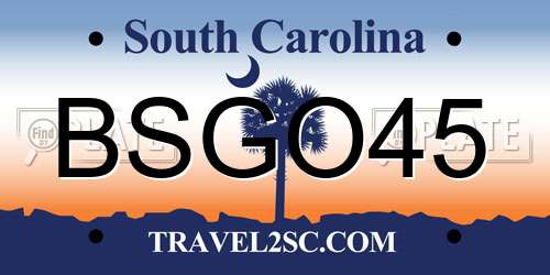 BSGO45 South Carolina License Plate