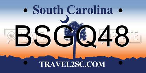 BSGQ48 South Carolina License Plate