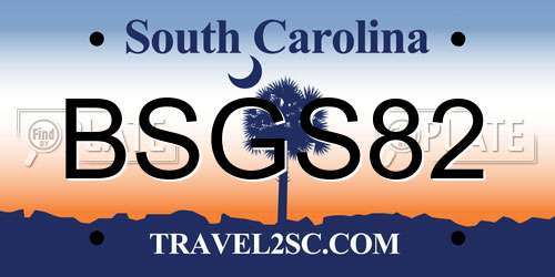 BSGS82 South Carolina License Plate