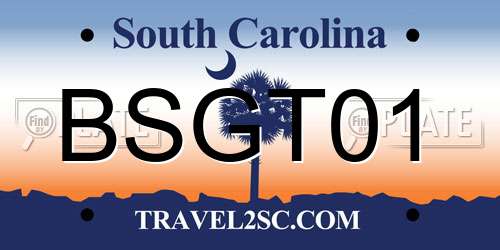 BSGT01 South Carolina License Plate