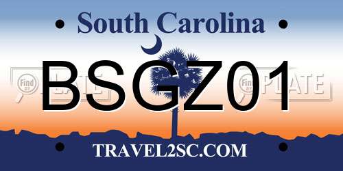 BSGZ01 South Carolina License Plate