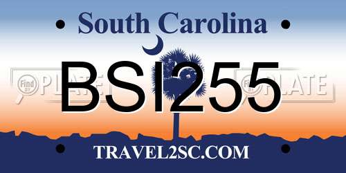 BSI255 South Carolina License Plate