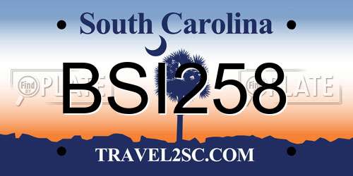 BSI258 South Carolina License Plate