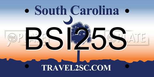BSI25S South Carolina License Plate