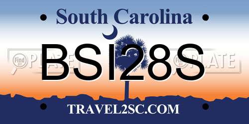 BSI28S South Carolina License Plate