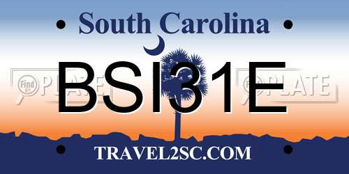 BSI31E South Carolina License Plate