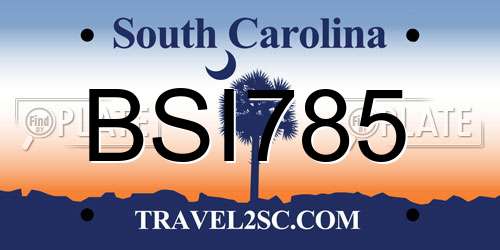 BSI785 South Carolina License Plate
