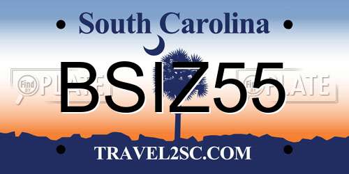 BSIZ55 South Carolina License Plate