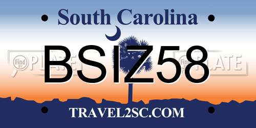 BSIZ58 South Carolina License Plate