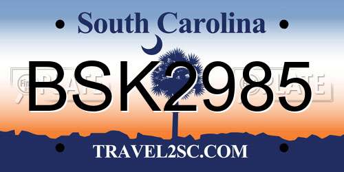BSK2985 South Carolina License Plate
