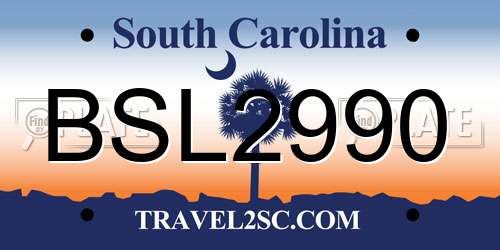 BSL2990 South Carolina License Plate