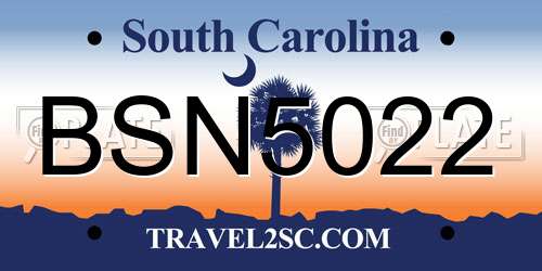 BSN5022 South Carolina License Plate