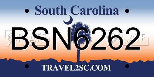BSN6262 South Carolina License Plate