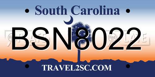 BSN8022 South Carolina License Plate