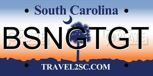 BSNGTGT South Carolina License Plate