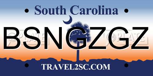 BSNGZGZ South Carolina License Plate