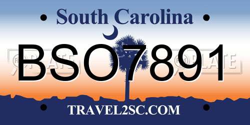 BSO7891 South Carolina License Plate
