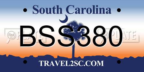 BSS380 South Carolina License Plate