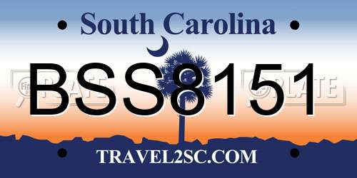 BSS8151 South Carolina License Plate