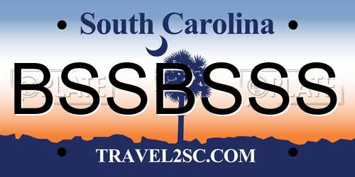 BSSBSSS South Carolina License Plate
