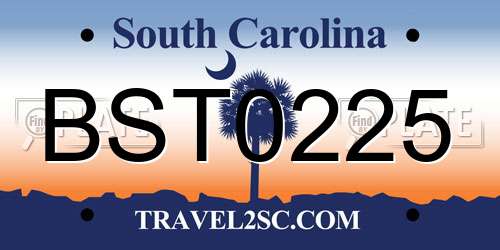 BST0225 South Carolina License Plate