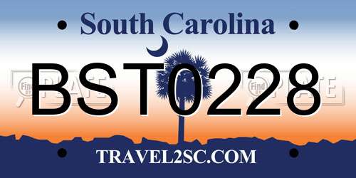 BST0228 South Carolina License Plate